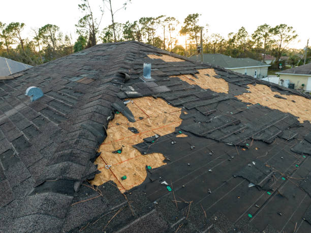 Best Cold Roofs  in Clay City, IN